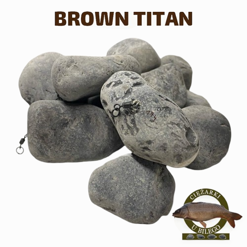 Brown_Titan-removebg-preview.png