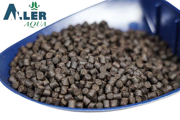 Best 6 mm.png