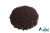 Bronze.png