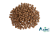 Master.png