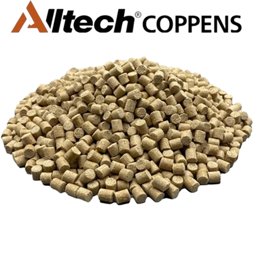 premium-carp-pellets-.png