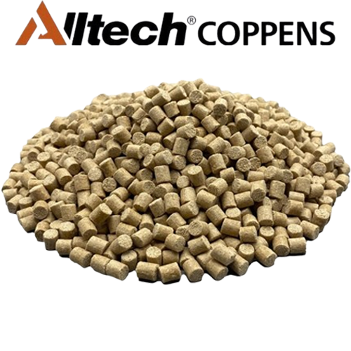 premium-carp-pellets-.png