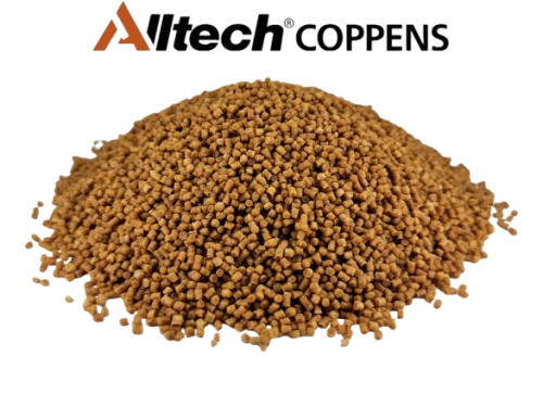 Premium Coarse 2 mm.png