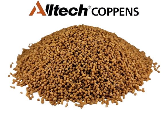 Premium Coarse 2 mm.png