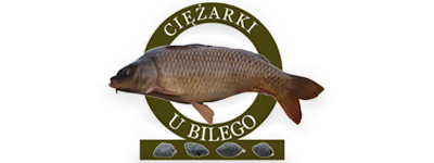 Producent: Ciężarki u Billego (przejdź do produktów)